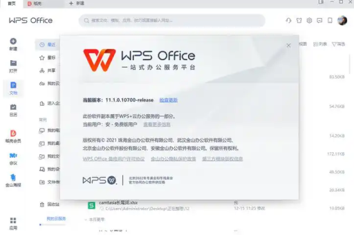 WPS 文档如何给图表添加数据标签显示数值